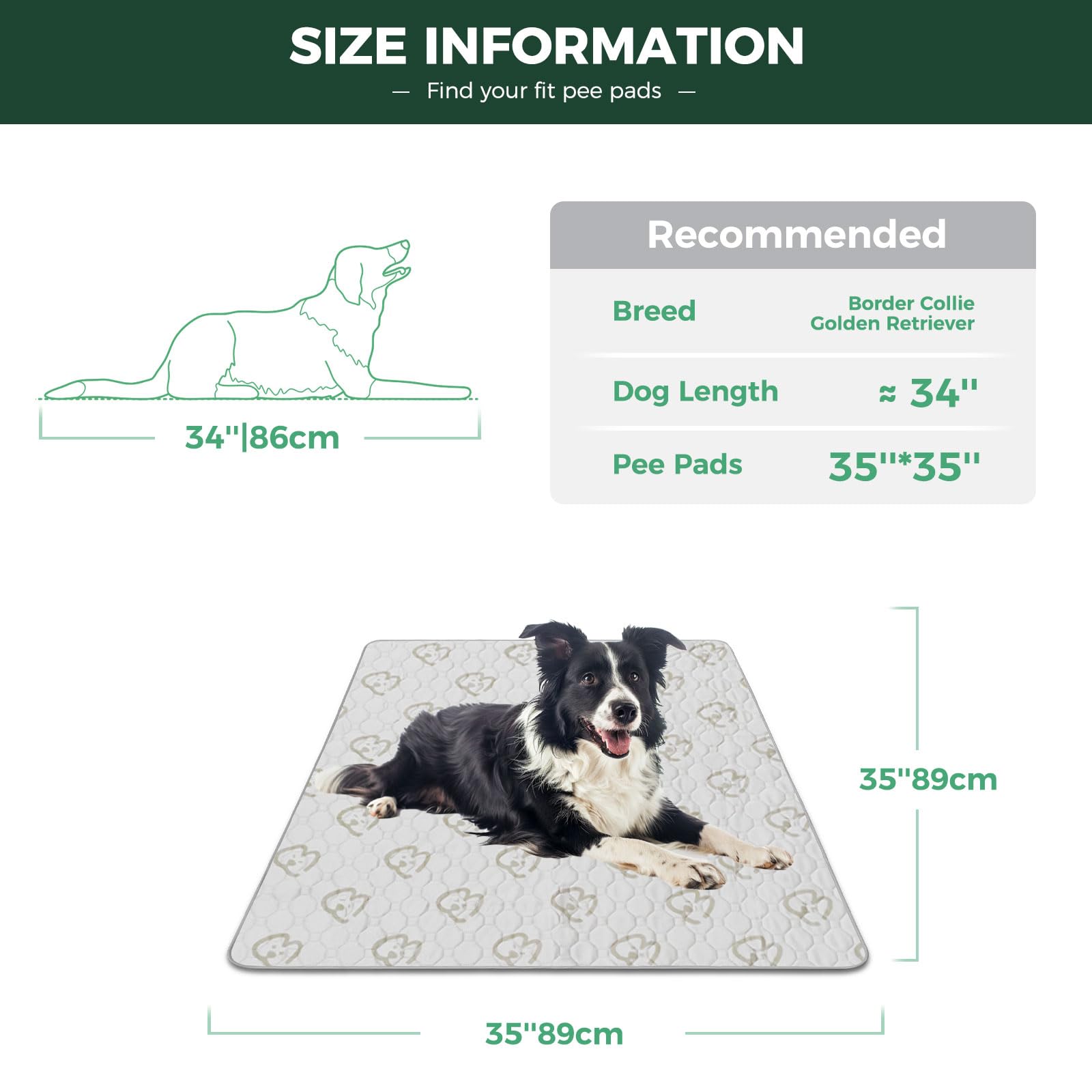FXW zoom sur texture coton absorbant pour confort et rapidité