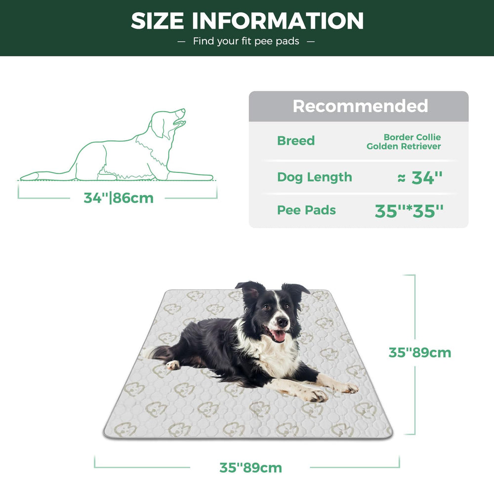 FXW zoom sur texture coton absorbant pour confort et rapidité