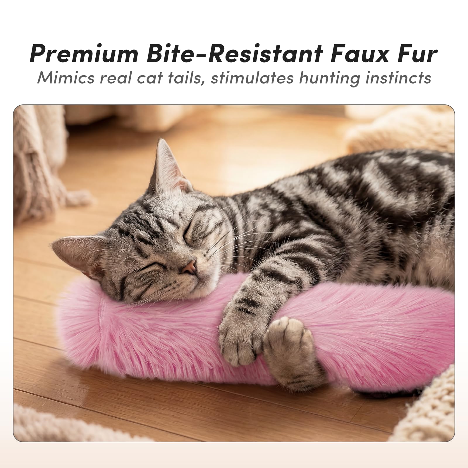Fykage chaton en train de mordre et donner des coups de rein