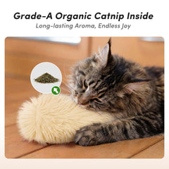 Fykage gros plan peluche douce pour confort et câlins