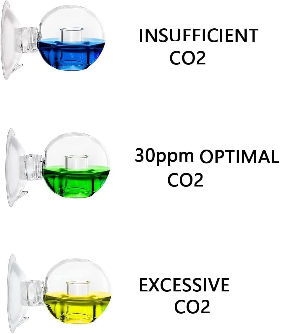 Gros plan sur la solution 4 dKH du FZONE révélant couleur précise pour ajustement CO2