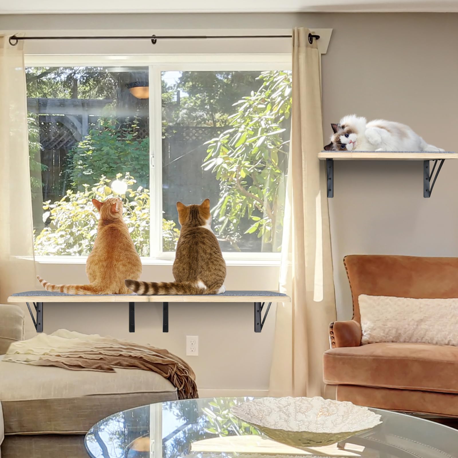 GADKE comparaison taille d'un chat sur étagère, adapté aux grands chats