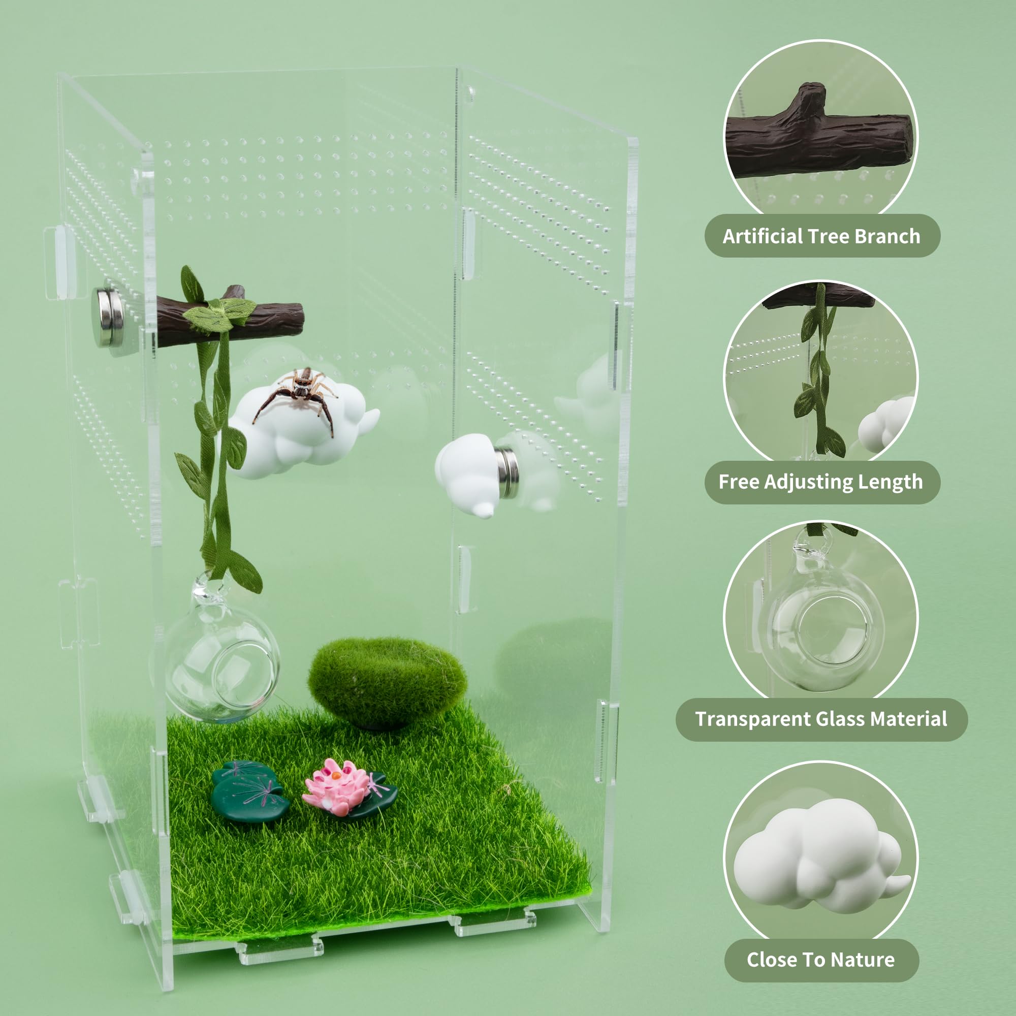 GAGILAND kit complet installé ajoutant intérêt visuel au terrarium