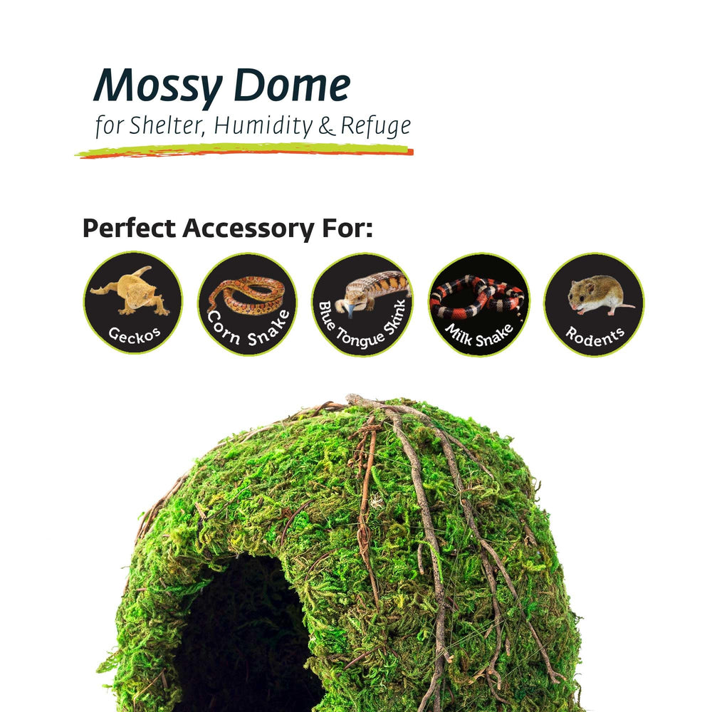 Galapagos Mossy Dome dos à 90° montrant optimisation d'angle