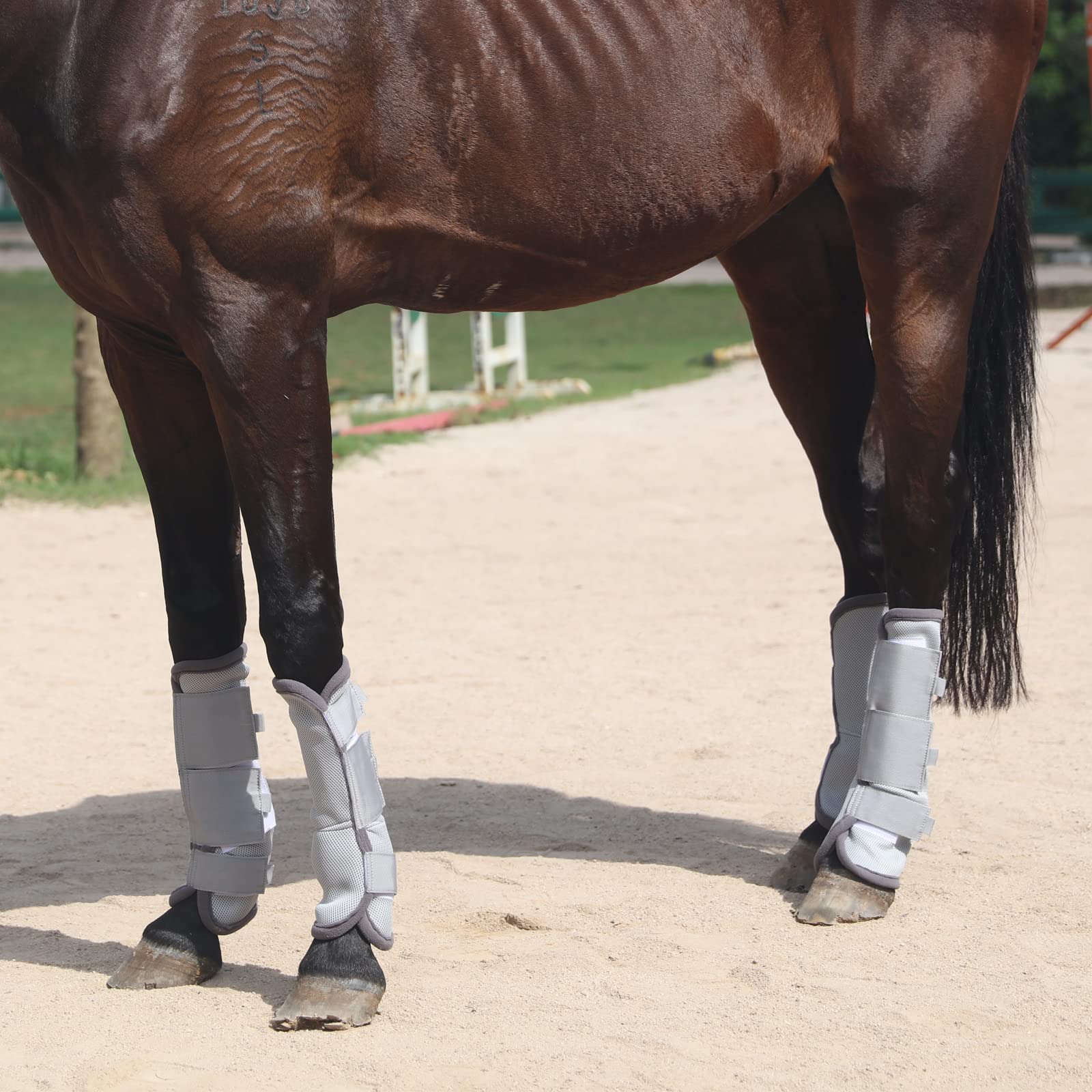 Gallopoff bottes en usage sur cheval au pâturage diminuant stress