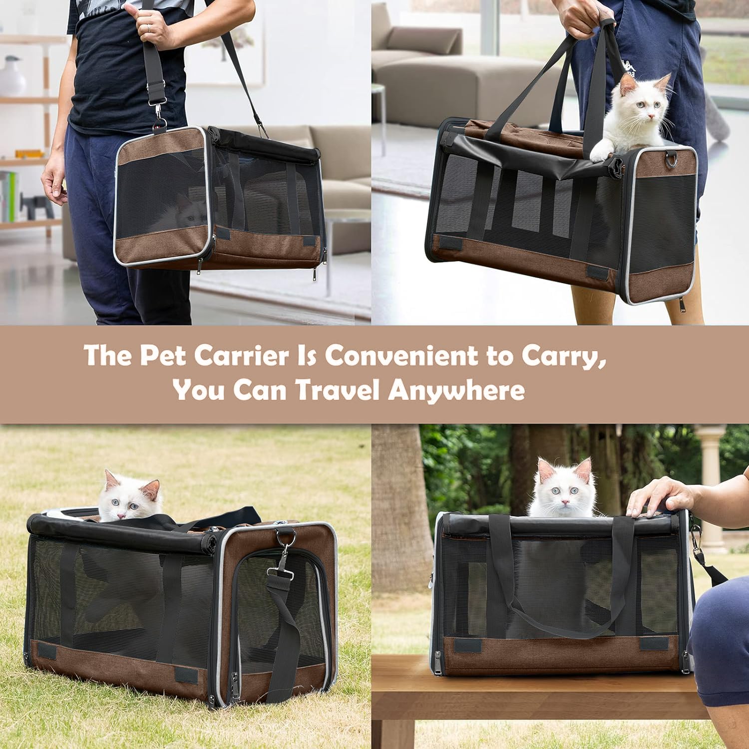 GAPZER comparaison taille avec chat pour vérifier l'ajustement optimal