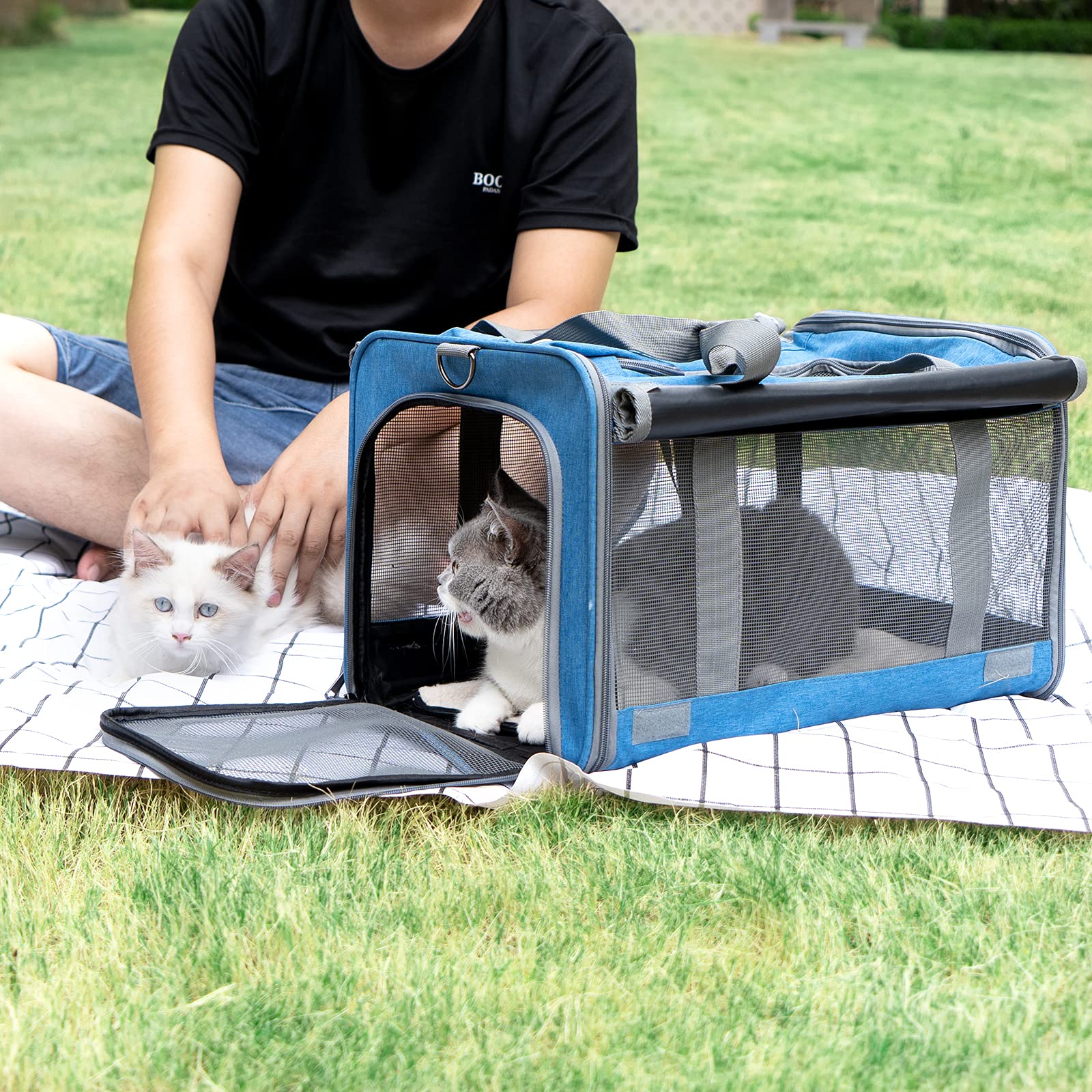 GAPZER comparaison taille avec un chat illustrant l'espace intérieur