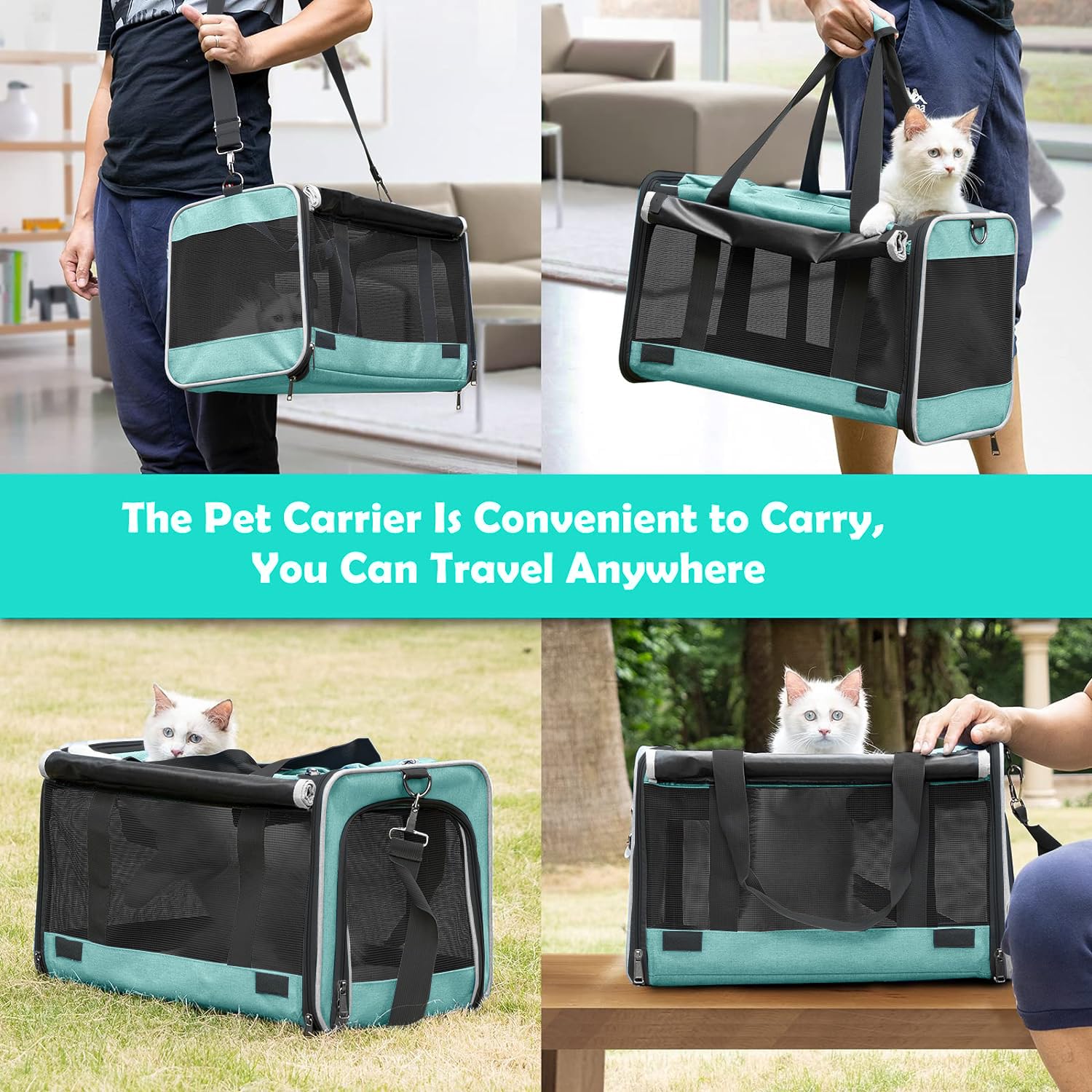 GAPZER comparaison de taille avec un petit chien illustrant espace intérieur suffisant