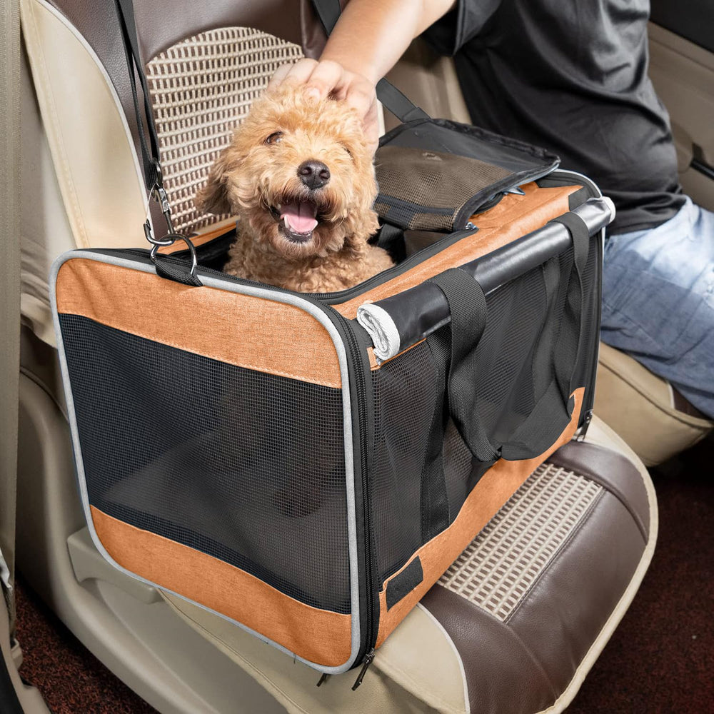 GAPZER comparaison taille avec chien illustrant dimensions réelles