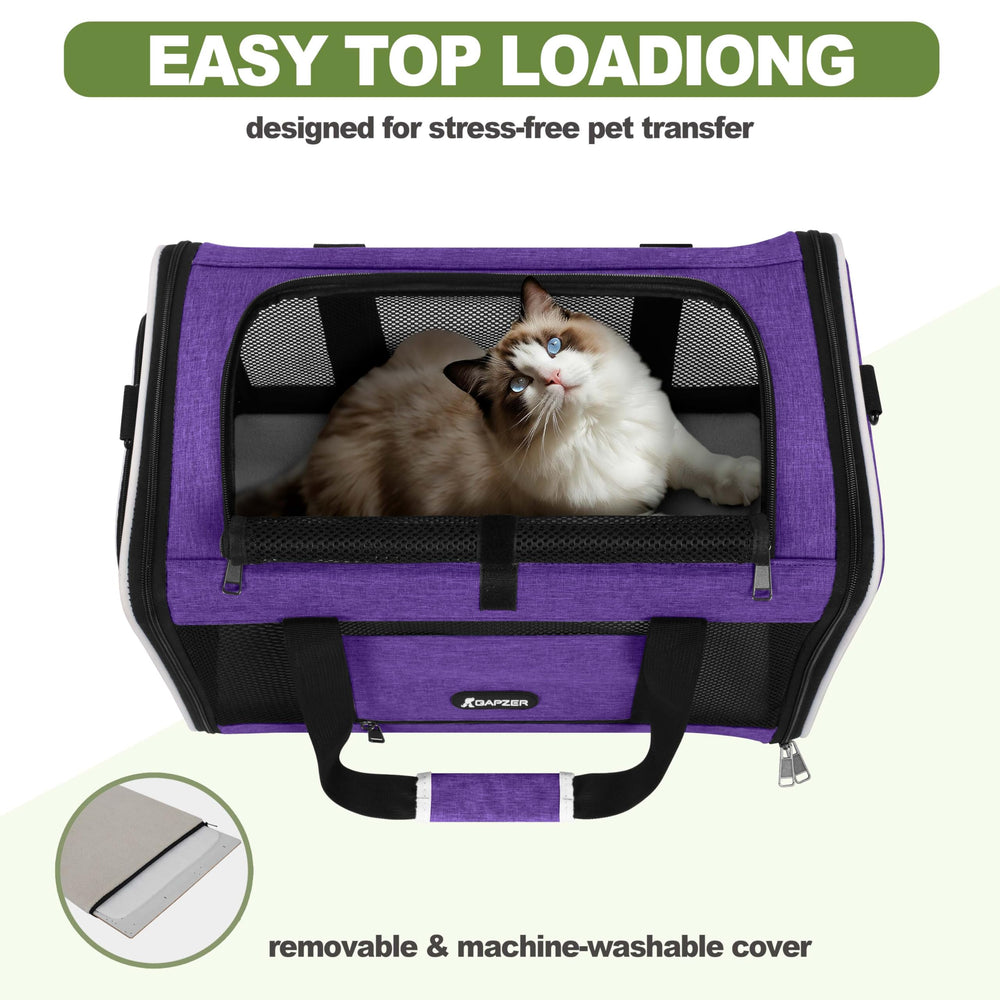 GAPZER coussin réversible face rafraîchissante, confort apaisant pour l'été