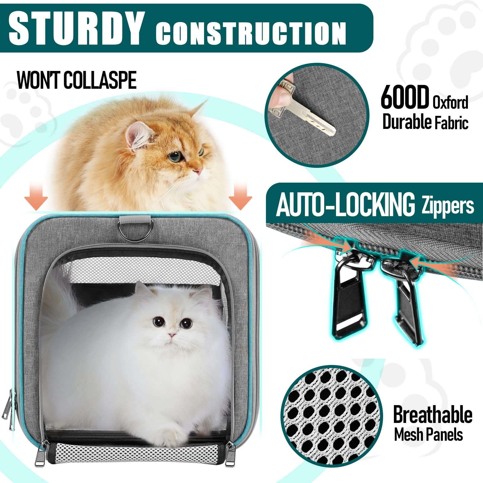 GAPZER transporteur attaché en voiture via ceinture, maintien stable pendant le trajet