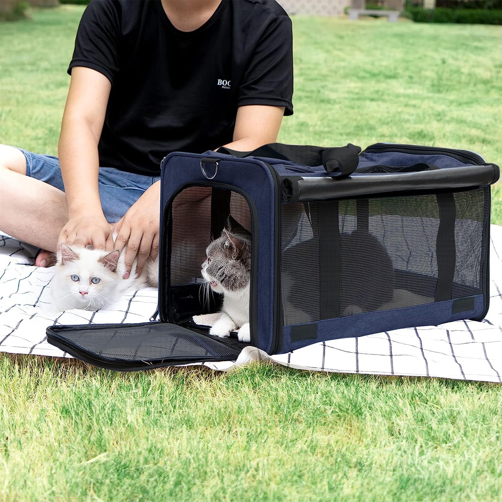 GAPZER transporteur en voyage offrant confort et sécurité au chat