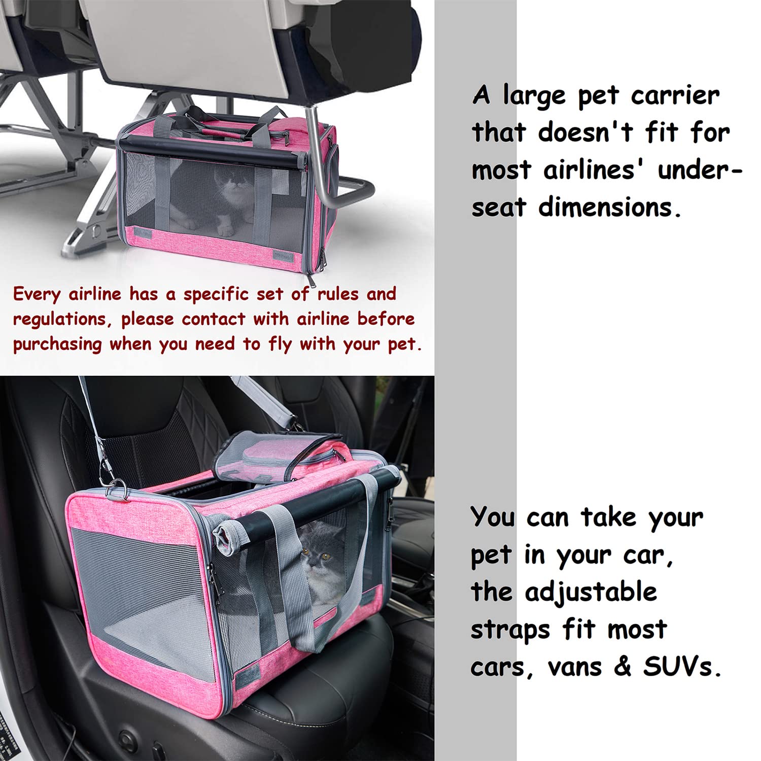 GAPZER transporteur en usage avec chat calme et sécurisé