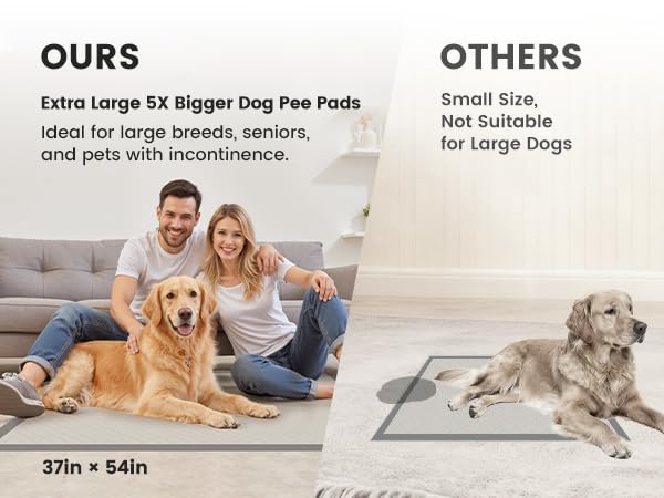 Gardner Pet gros plan du noyau absorbant montrant absorption rapide