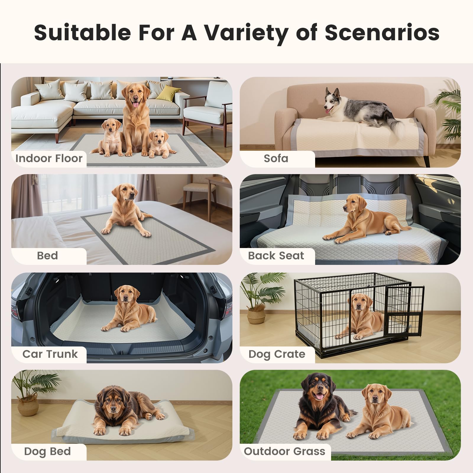 Gardner Pet tapis posé sur canapé gardant meubles propres et secs