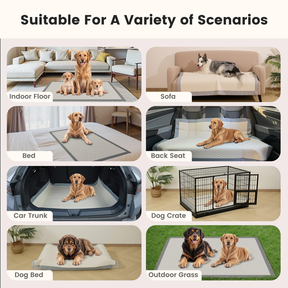 Gardner Pet tapis posé sur canapé gardant meubles propres et secs