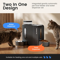 Gardner Pet gros plan du bol acier inox 304, hygiène et durabilité