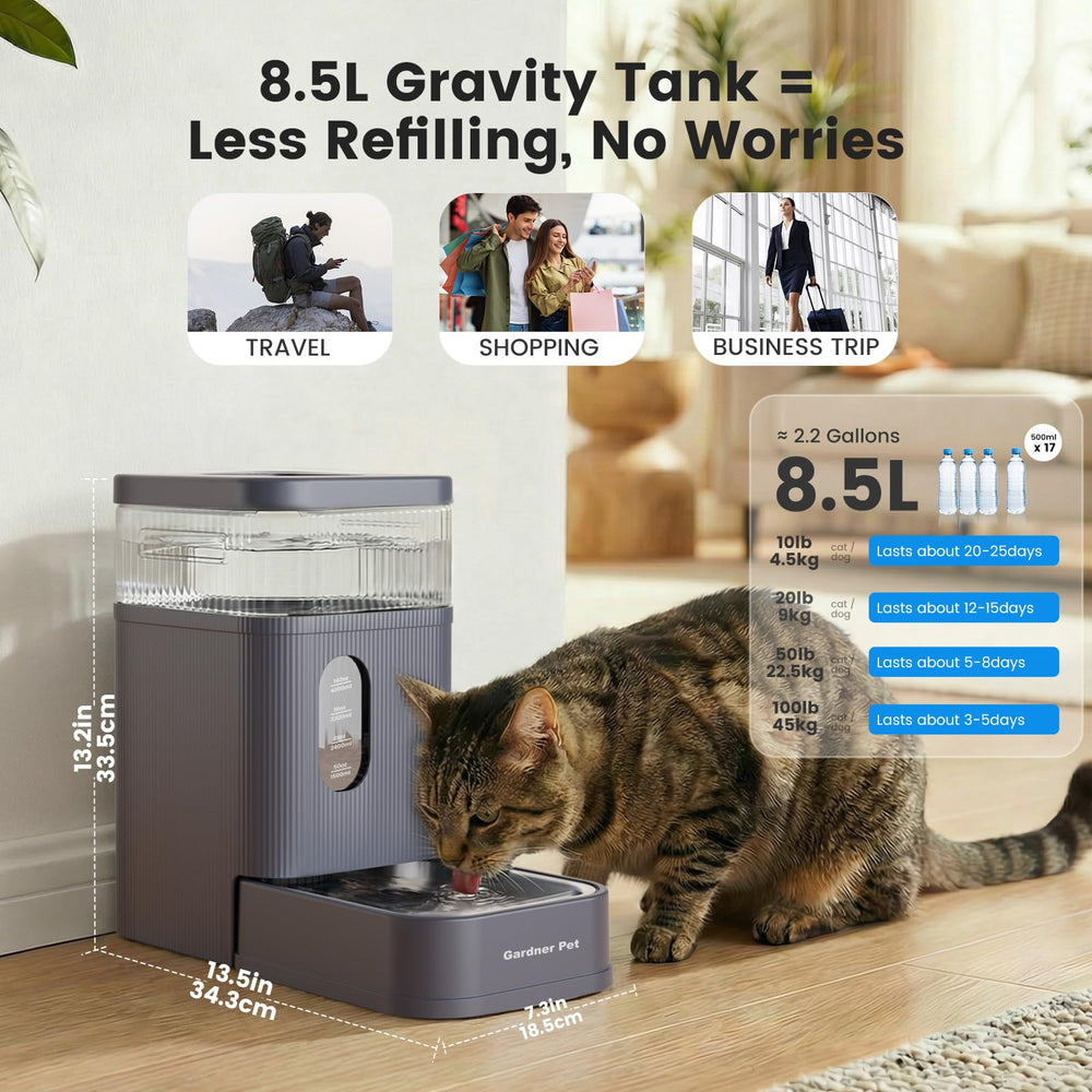 Gardner Pet gros plan du bol inox 304, hygiène et nettoyage facile