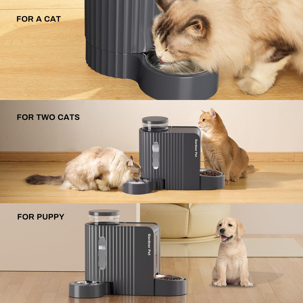 Gardner Pet bols détachés au lave-vaisselle, nettoyage simple