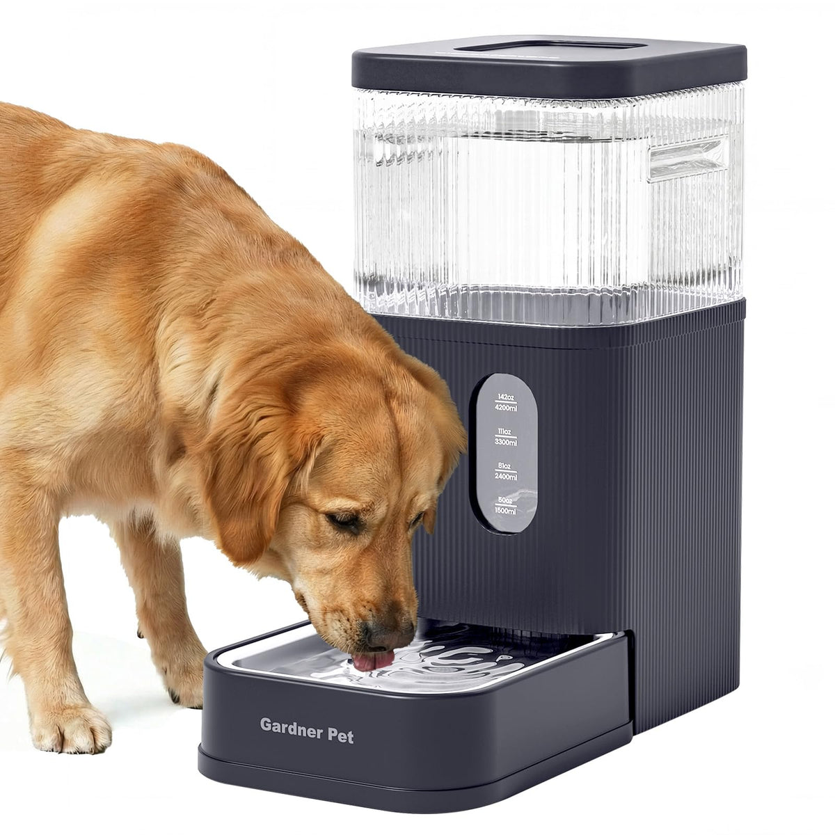 Gardner Pet distributeur face avant montrant capacité et design, facilite hydratation