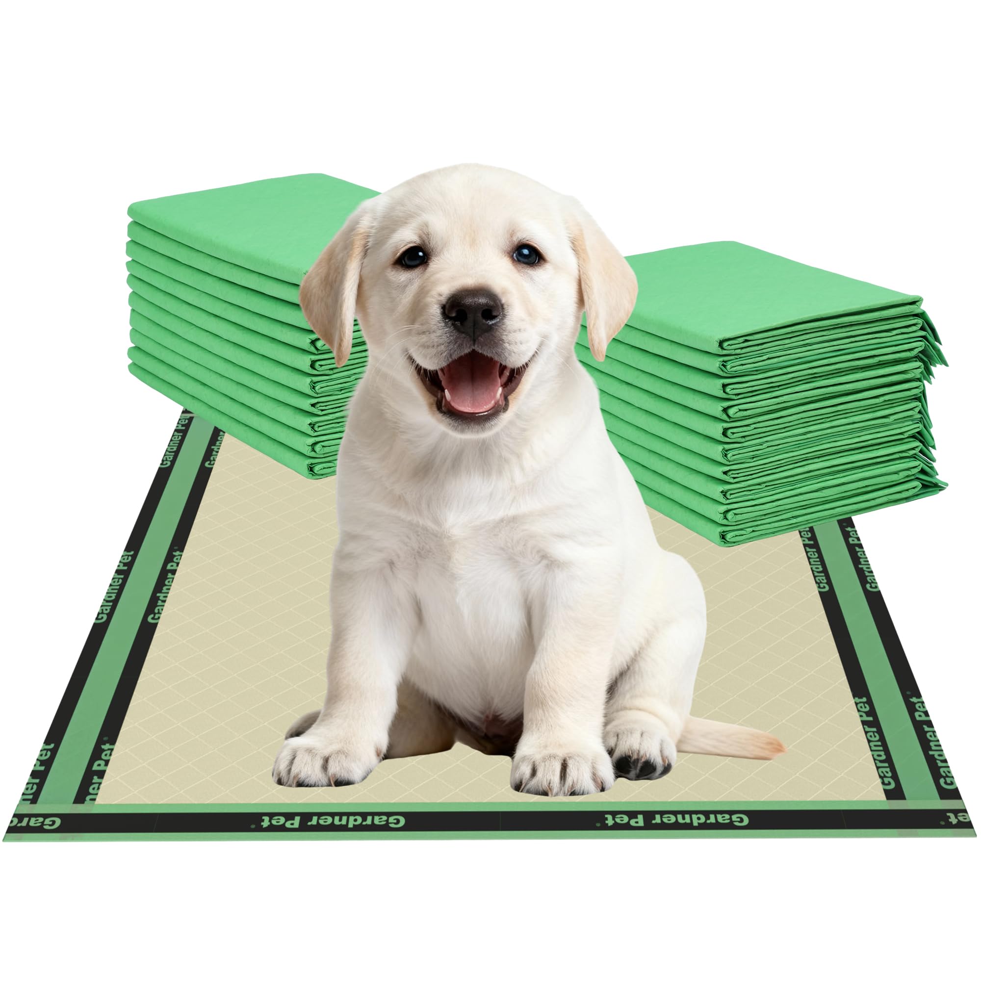 Gardner Pet emballage avant montrant pack de 50 et protection pratique