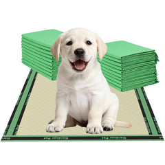 Gardner Pet emballage avant montrant pack de 50 et protection pratique