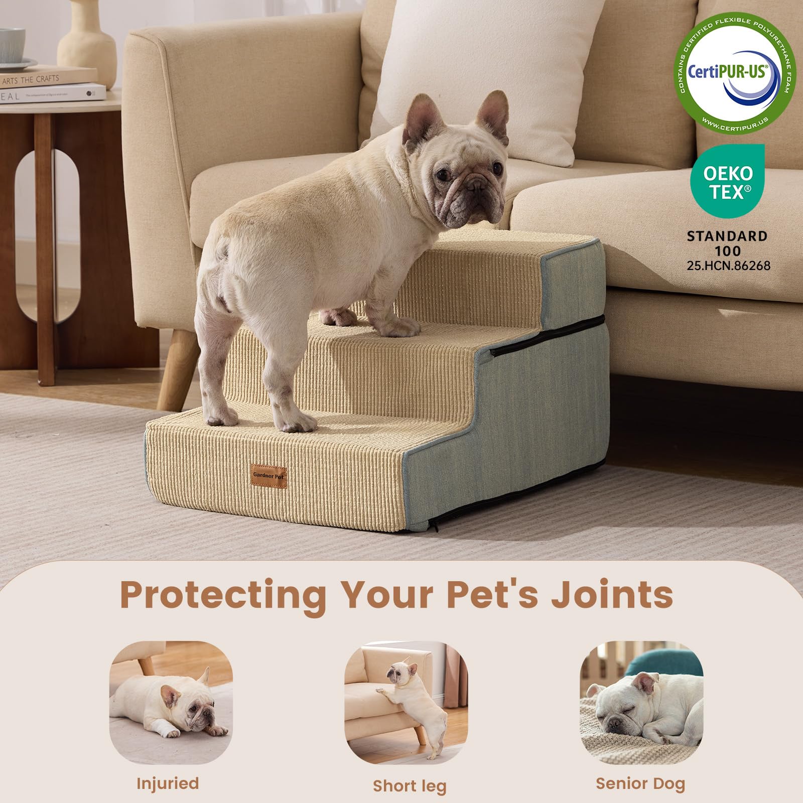 Gardner Pet escalier en usage sur canapé facilitant montée pour petit chien