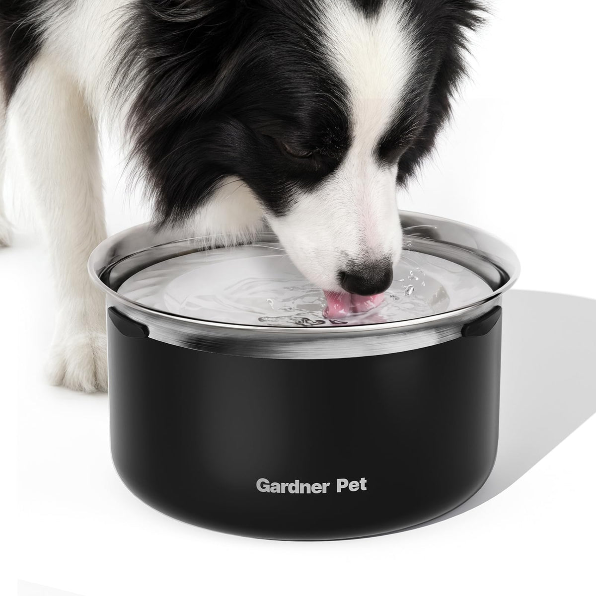 Gardner Pet gamelle face avant montrant grande capacité et design anti-éclaboussures