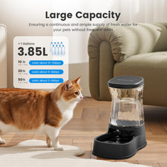 Gardner Pet gros plan matériau sans BPA pour eau saine