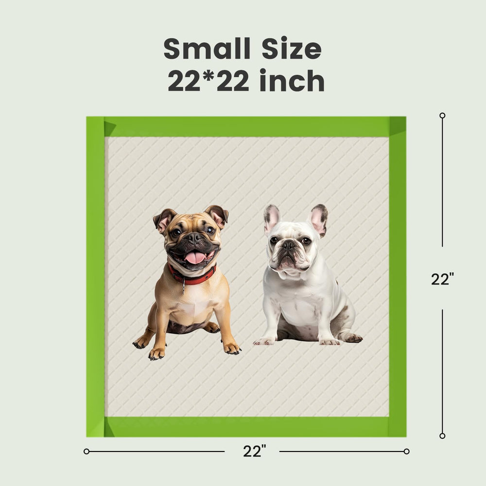 Gardner Pet comparaison de taille avec une main pour dimension réelle