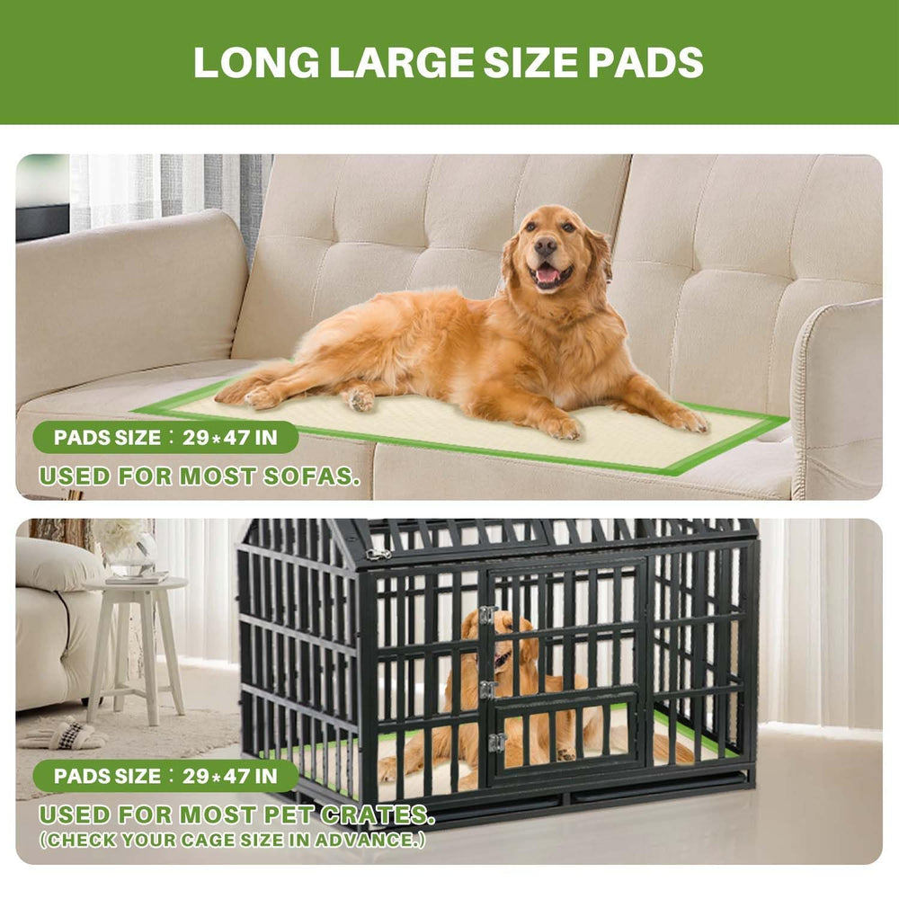 Gardner Pet chiot utilisant le tapis, nettoyage simplifié