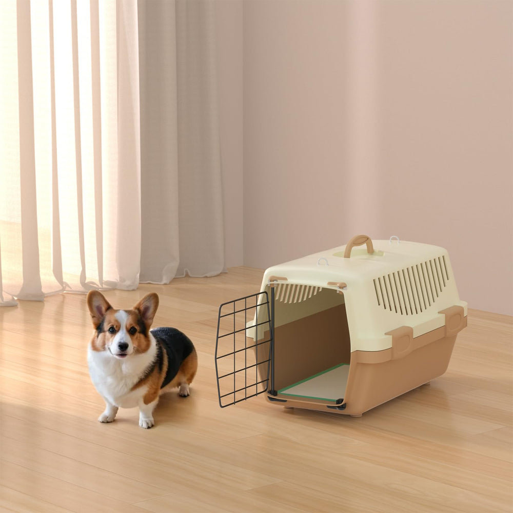 gardner pet tapis à côté d’un objet montrant taille XL et capacité