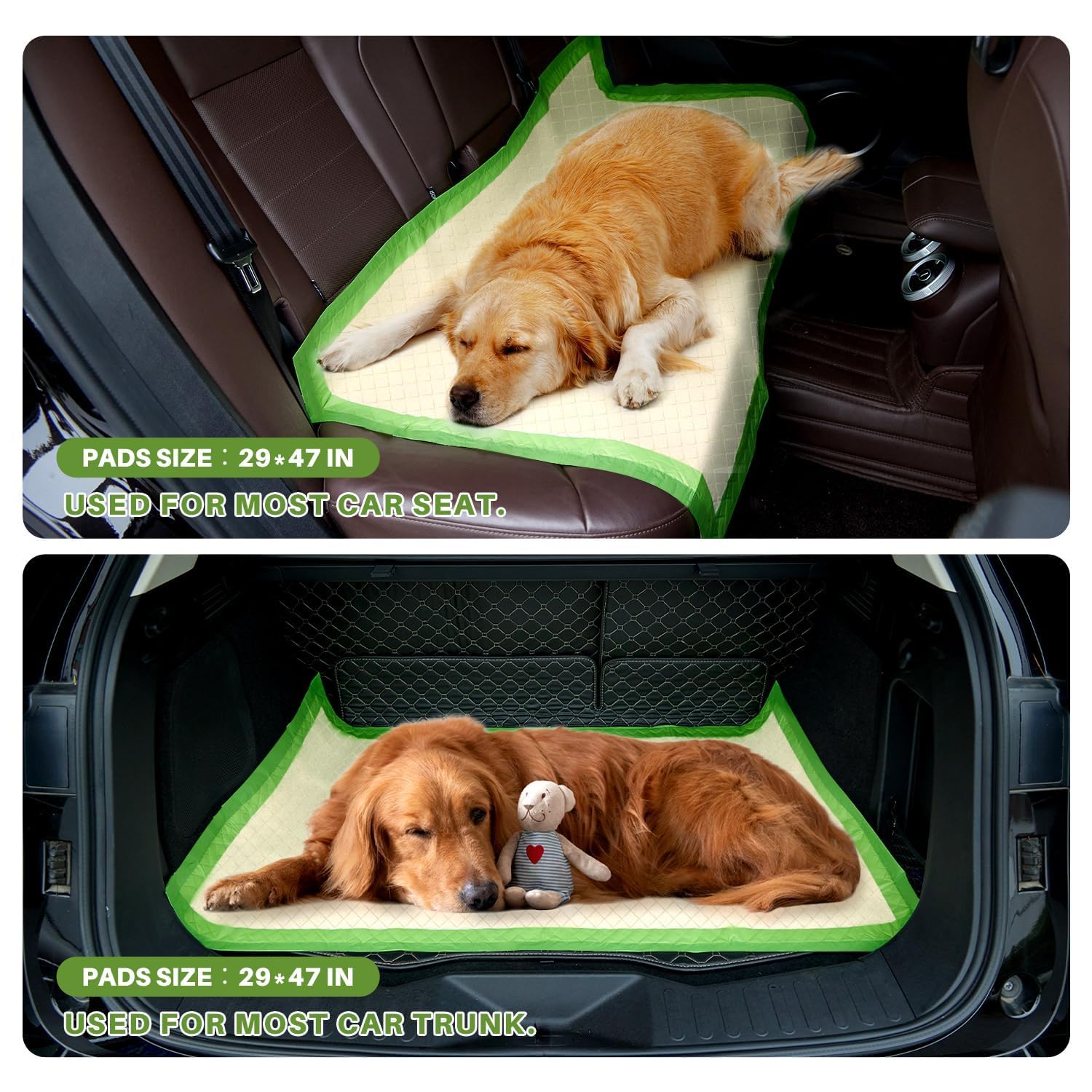 Gardner Pet comparaison taille, surface généreuse pour grands chiens