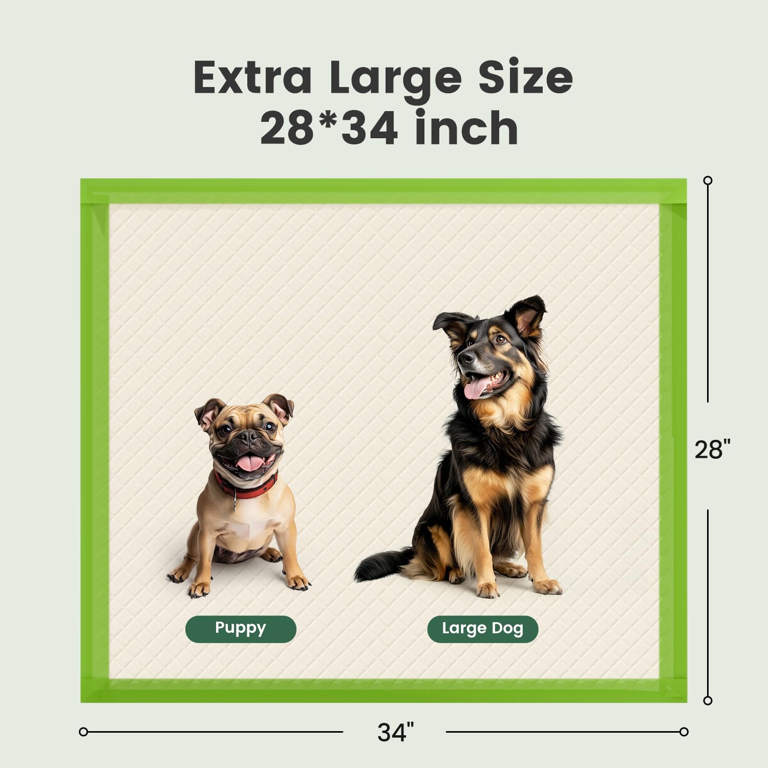 Gardner Pet dos imperméable protège plancher et évite les taches