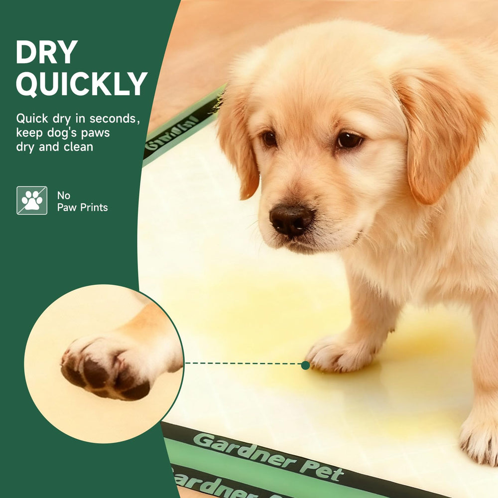 Gardner Pet tapis placé dans une caisse pour chiot assurant propreté
