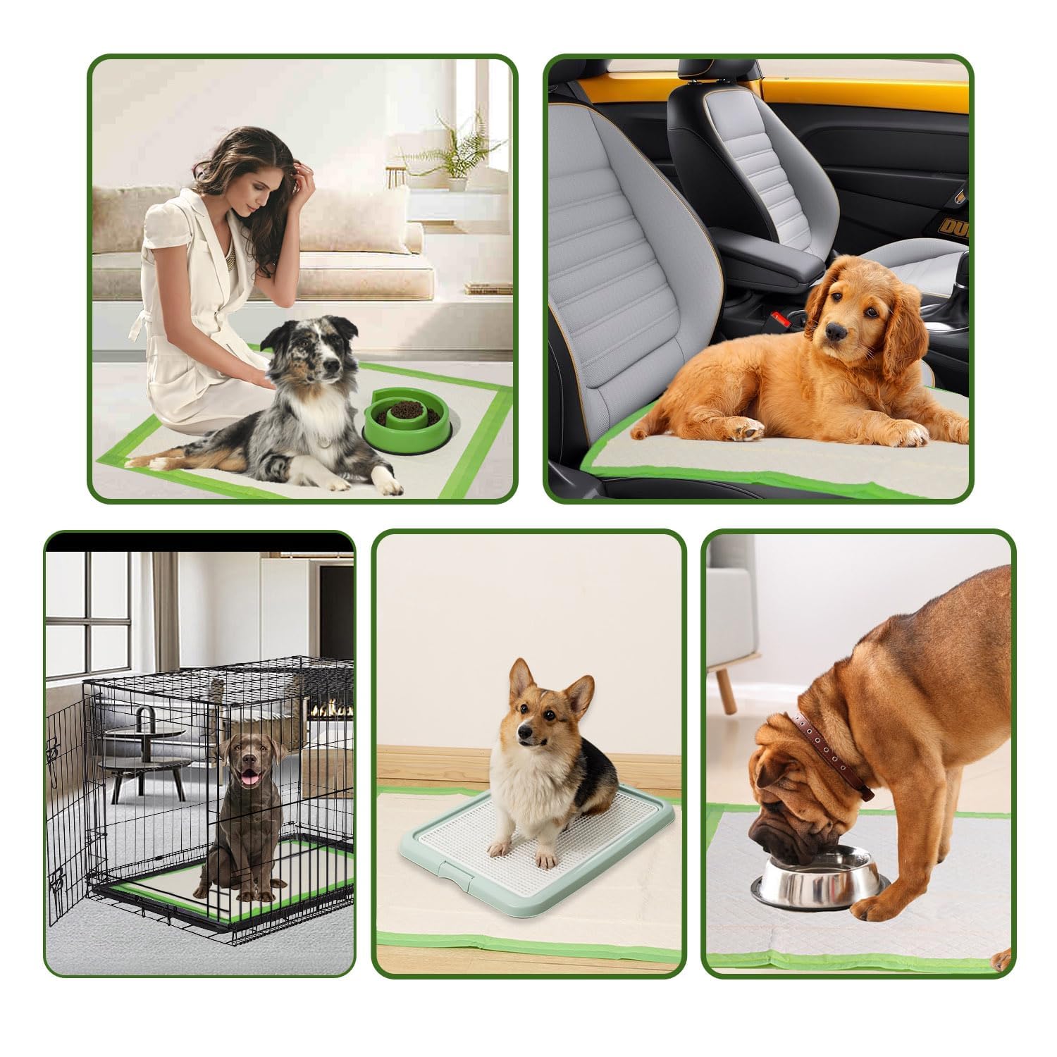 Gardner Pet tapis placé en intérieur pour protéger plancher et meubles