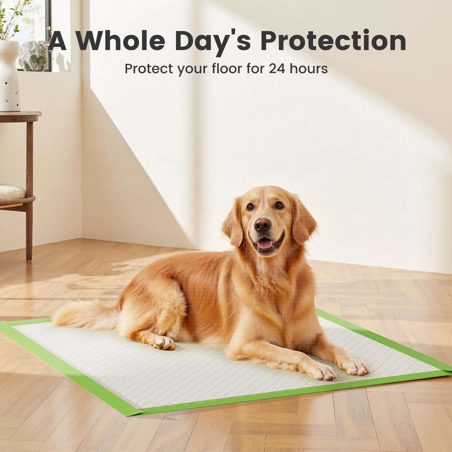Gardner Pet membrane PE imperméable protégeant sol ou coffre