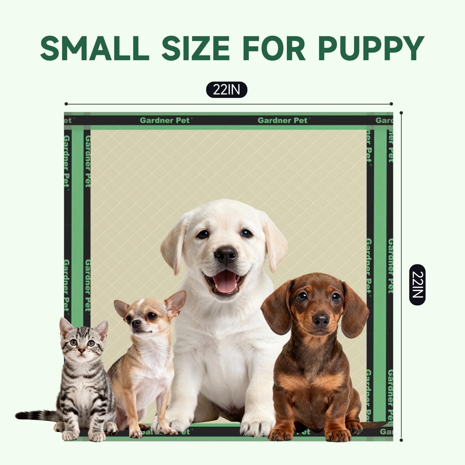 Gardner Pet tapis dans un salon gardant sol et pattes secs