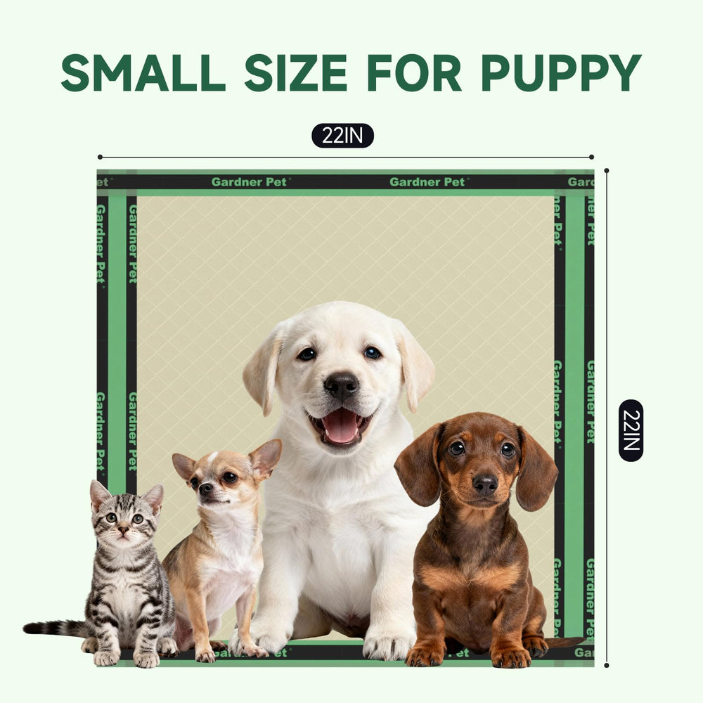 Gardner Pet tapis dans un salon gardant sol et pattes secs