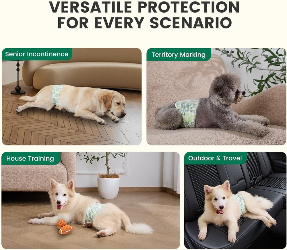Gardner Pet bande ventrale utilisée en voiture pour trajet propre et sûr