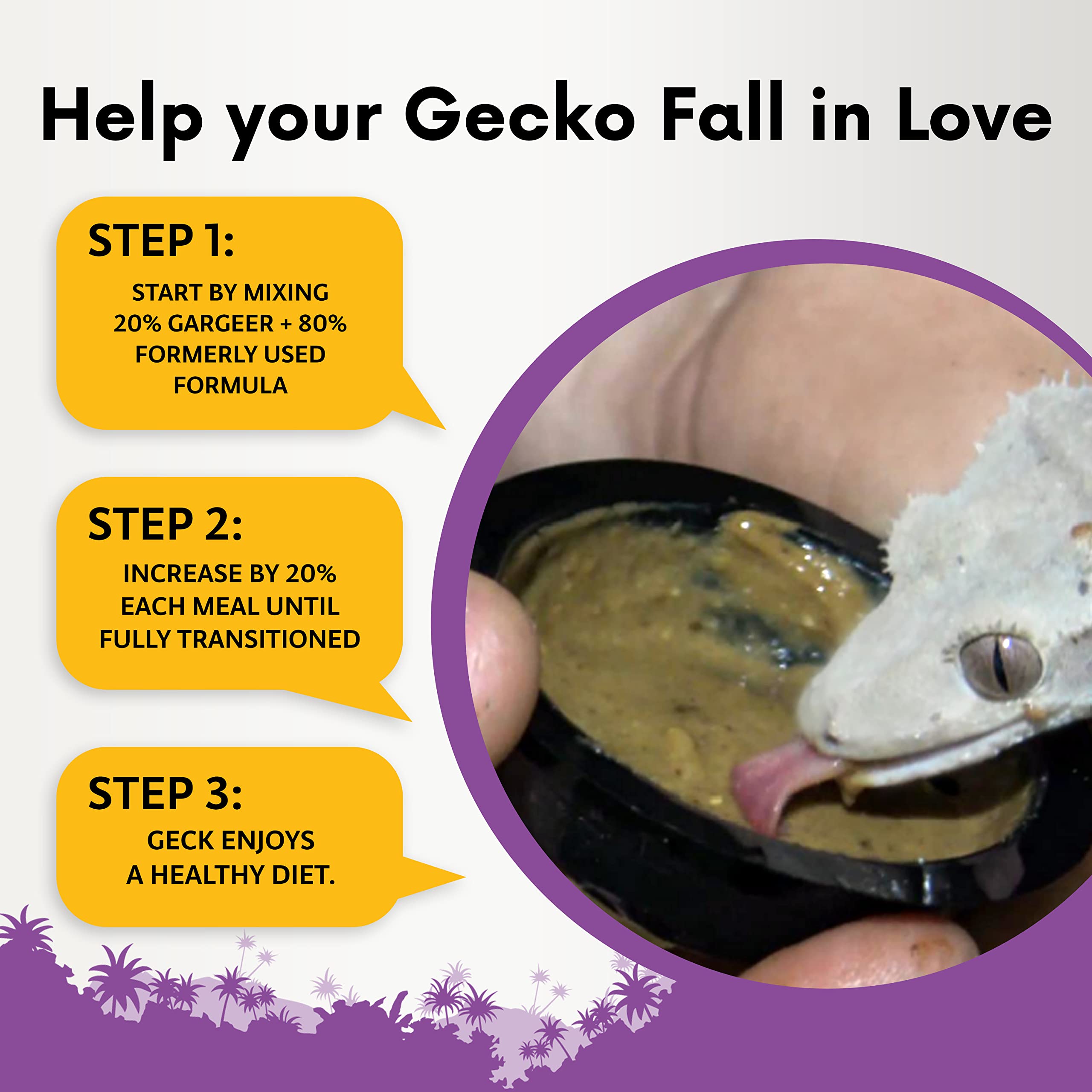 Gargeer en alimentant un gecko dans son terrarium encourage l'appétit naturel