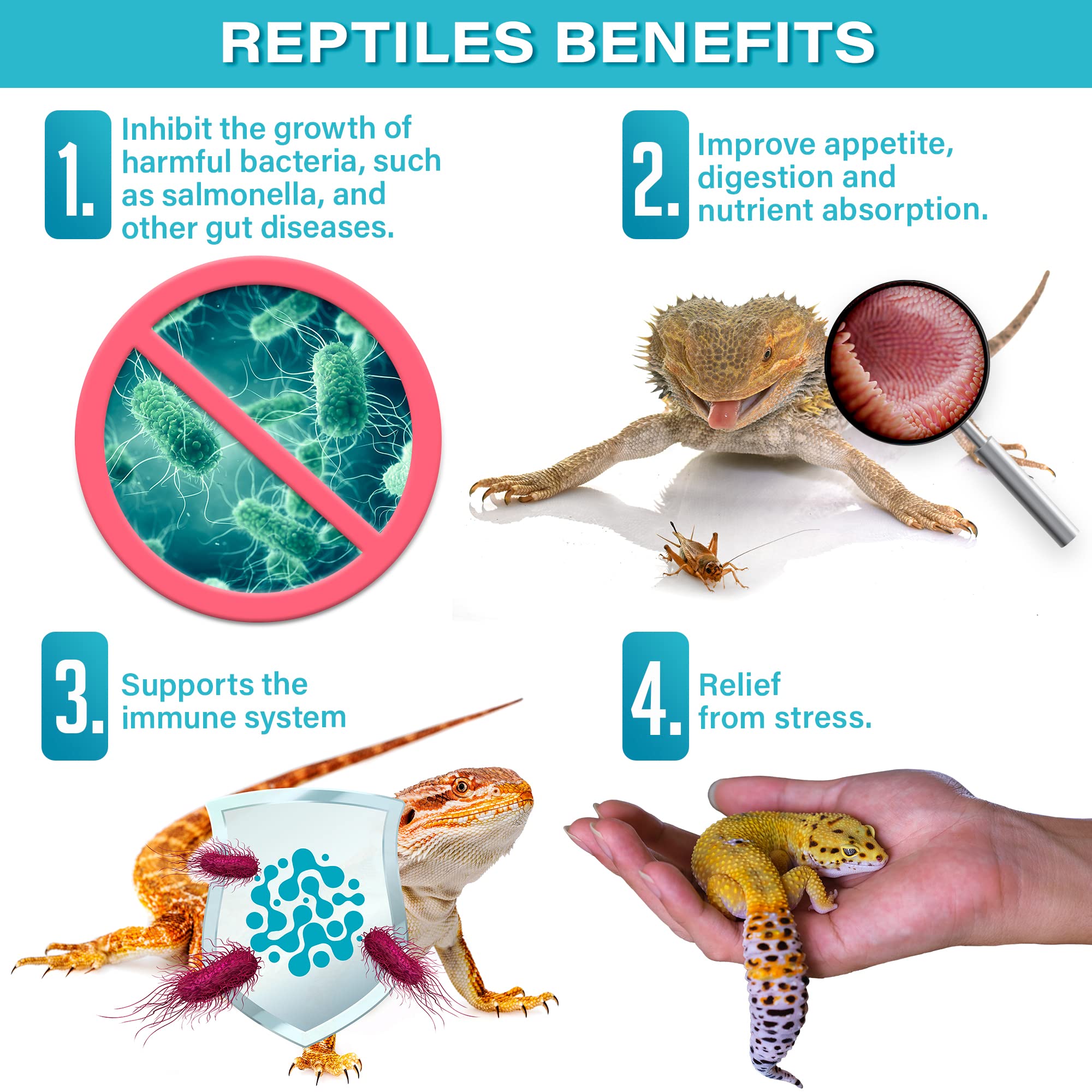 Gargeer mélangé à une salade pour reptiles illustrant distribution homogène
