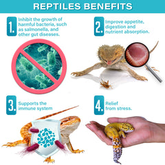 Gargeer mélangé à une salade pour reptiles illustrant distribution homogène