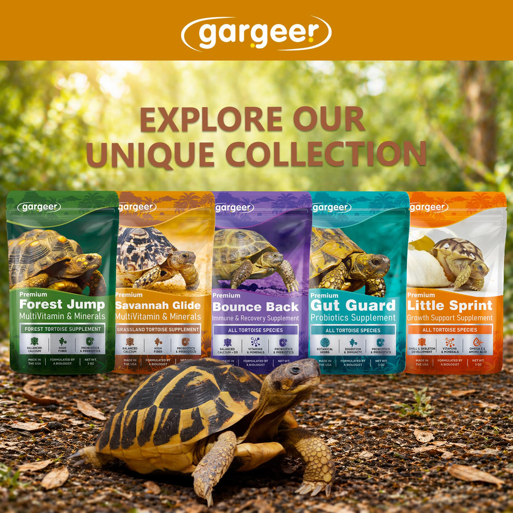 Gargeer scène d'enclos avec tortue utilisant le complément pour soutenir croissance de la carapace