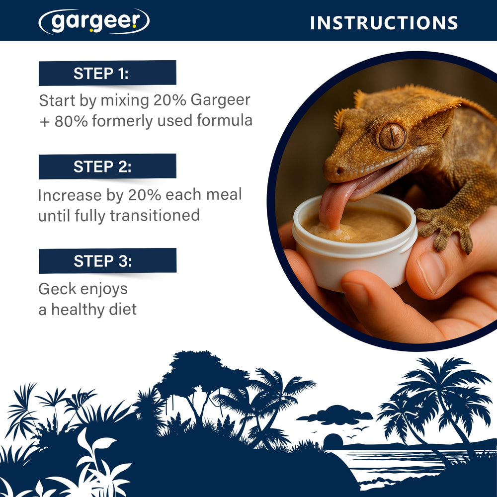 Gargeer pot dans terrarium nocturne illustrant usage pratique