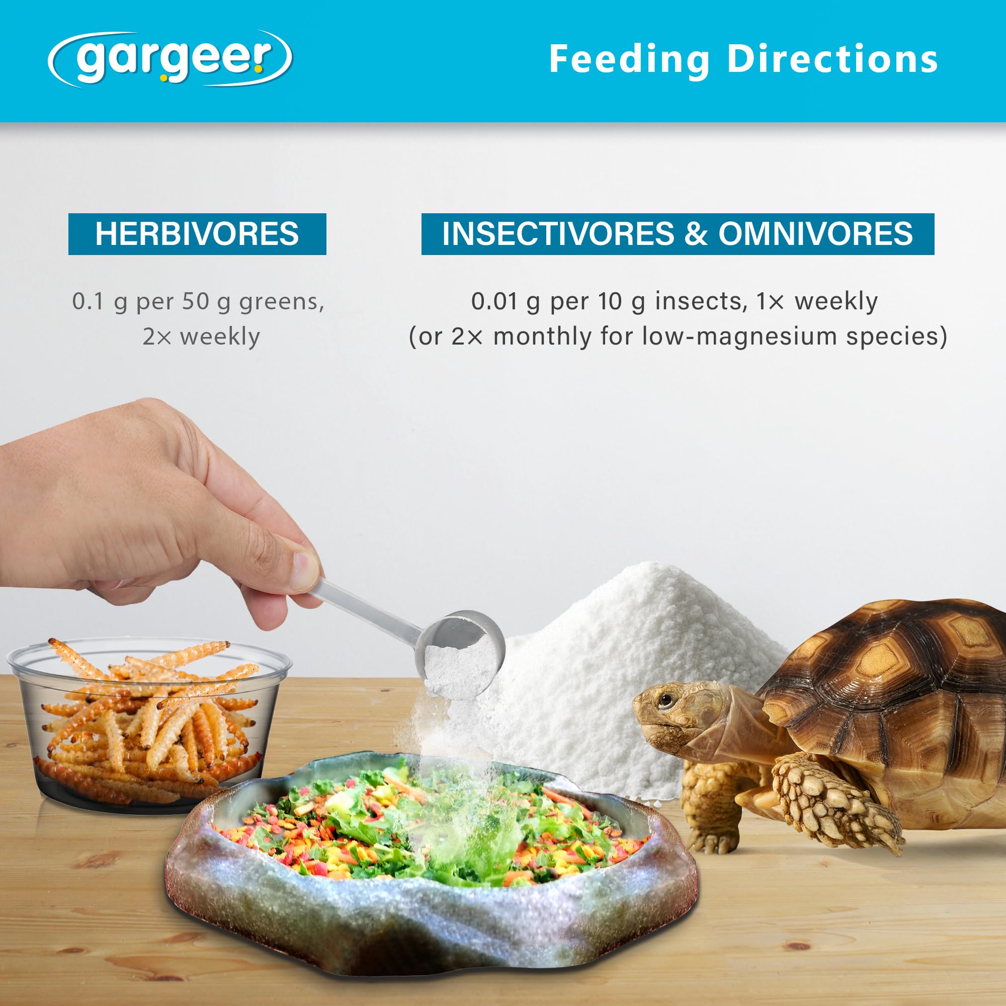 Gargeer mode de vie en terra promotion de santé et vitalité reptile