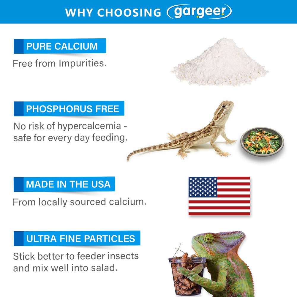 Gargeer cuillère et pot pour comparaison de taille pratique