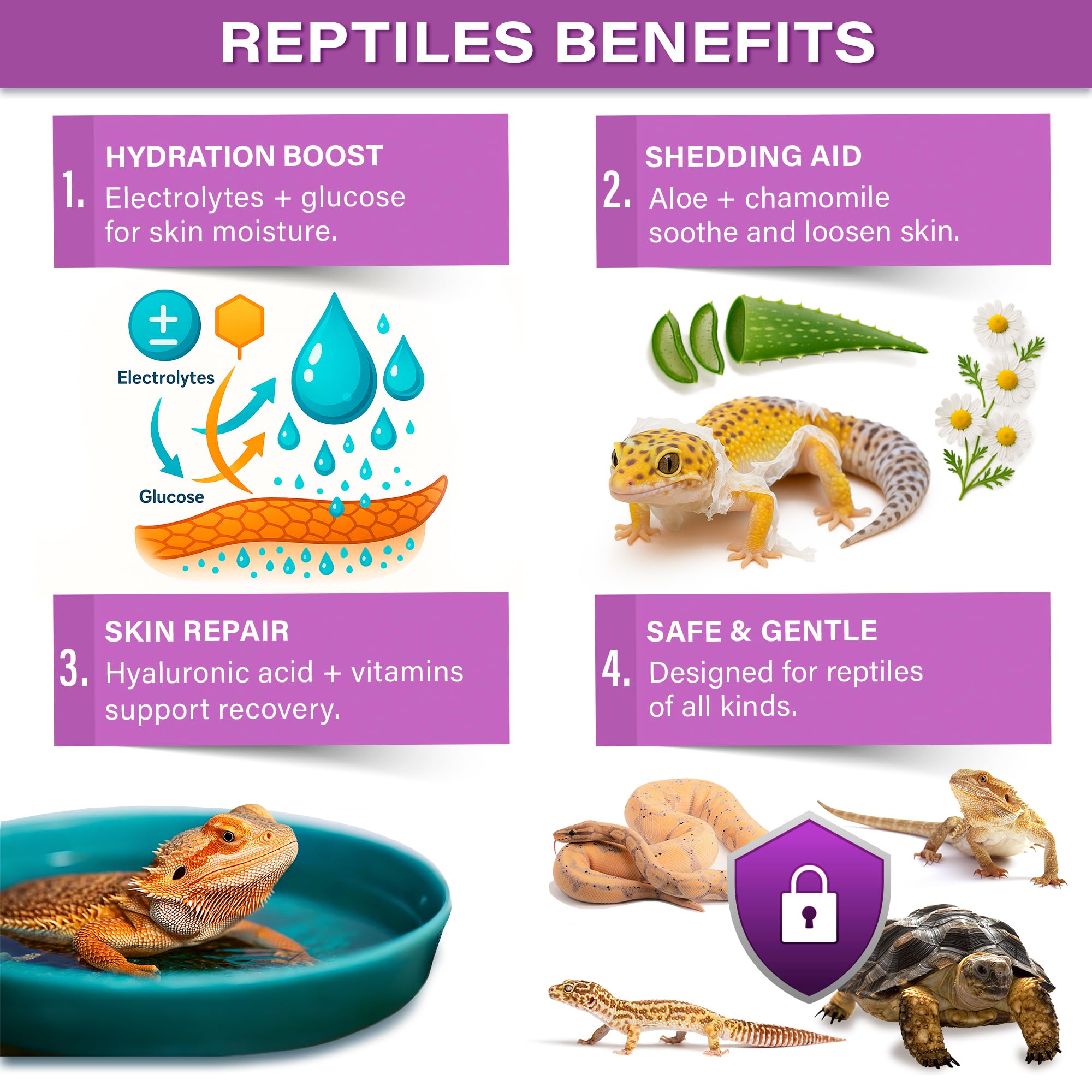 Gargeer bain en cours avec reptile montrant hydratation apaisante