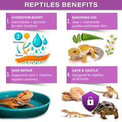 Gargeer bain en cours avec reptile montrant hydratation apaisante