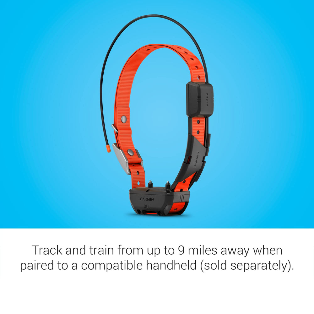 Garmin Alpha TT 25 bande remplaçable facilitant entretien et ajustement
